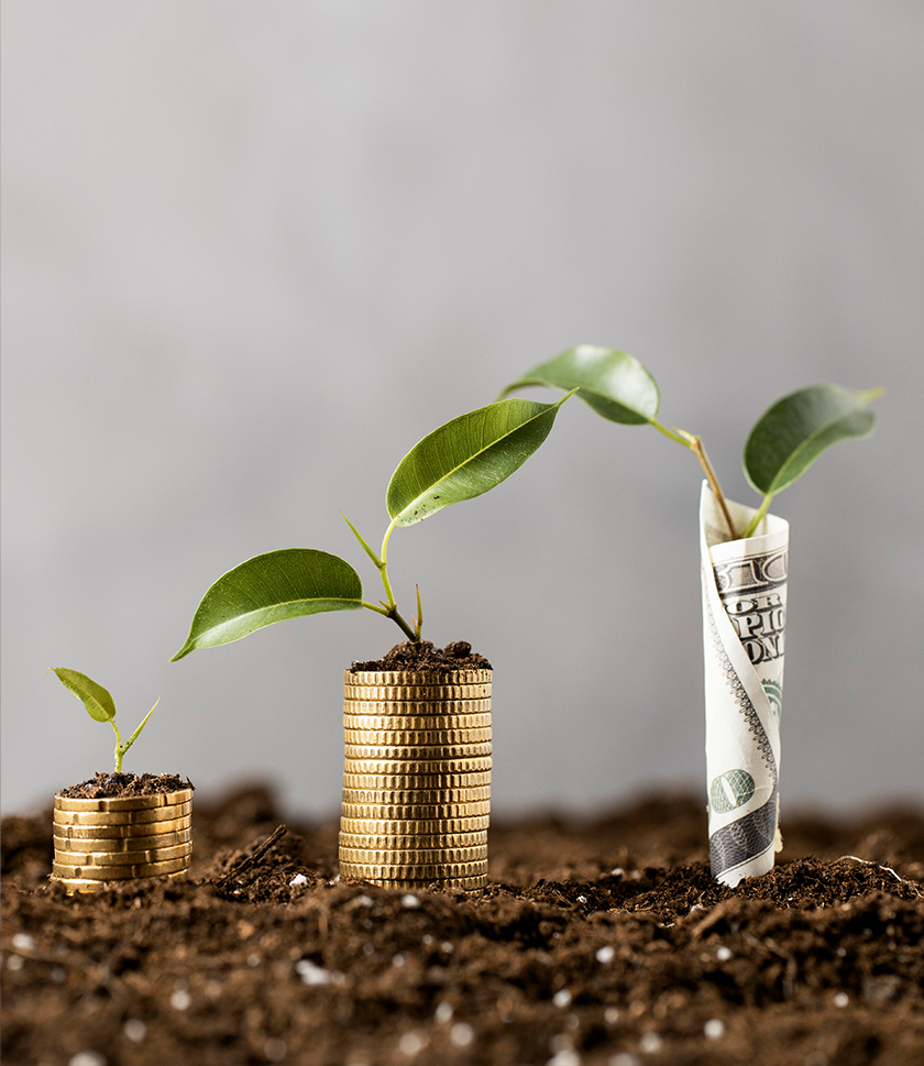 Cell Fund